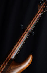 Mayones Regius 4Ever TT-Brian's Guitars