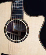 Taylor 914ce-Brian's Guitars