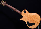 Paul Reed Smith Wood Library P245 Brian's Limited Obsidian-Brian's Guitars
