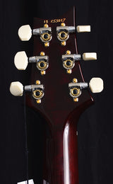 Paul Reed Smith Experience PRS 2018 Paul's Guitar Limited-Brian's Guitars
