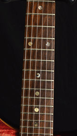 Used 1990 Paul Reed Smith CE 24 Tortoise Shell-Brian's Guitars