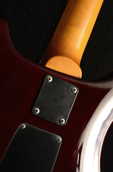 Used 1990 Paul Reed Smith CE 24 Tortoise Shell-Brian's Guitars