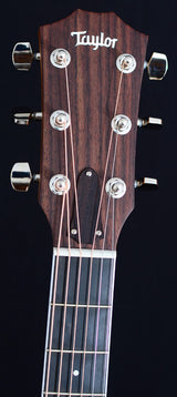 Taylor 414ce-Brian's Guitars