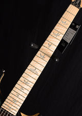 Paul Reed Smith Wood Library Custom 24 Floyd Brian's Limited Blue Fade Smokeburst-Brian's Guitars