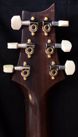 Paul Reed Smith DGT Custom Jet White with Tortoise Shell-Brian's Guitars
