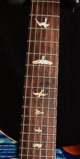 Paul Reed Smith Modern Eagle V Experience LTD River Blue-Brian's Guitars