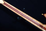 Alembic Skylark Zebrawood-Brian's Guitars