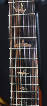Paul Reed Smith Private Stock Custom 22 Semi-Hollow Macassar Ebony-Brian's Guitars