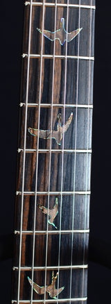 Paul Reed Smith Private Stock Custom 22 Semi-Hollow Macassar Ebony-Brian's Guitars