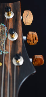 Paul Reed Smith Private Stock Custom 22 Semi-Hollow Macassar Ebony-Brian's Guitars