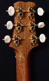 Paul Reed Smith 2014 Collection Angelus Brazilian Rosewood-Brian's Guitars