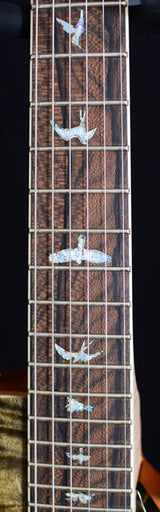 Paul Reed Smith Wood Library P245 Brian's Limited Obsidian-Brian's Guitars