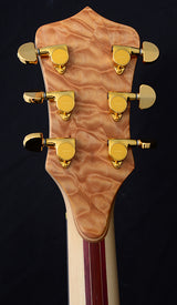 Alembic Darling Chocolate Quilt Maple-Brian's Guitars