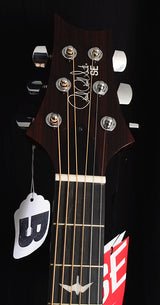 Paul Reed Smith SE Tonare TX20E-Brian's Guitars