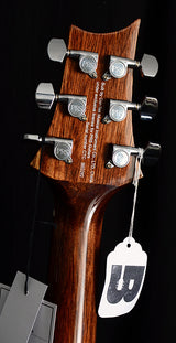 Paul Reed Smith SE Tonare TX20E-Brian's Guitars