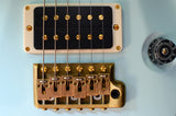 Paul Reed Smith P24 Trem Prototype-Brian's Guitars