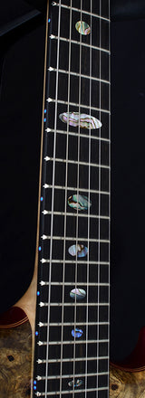 Alembic Further Buckeye Burl-Brian's Guitars