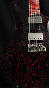 Paul Reed Smith Private Stock Custom 24 Swamp Eagle #1-Brian's Guitars