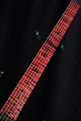 Paul Reed Smith Private Stock Custom 24 Swamp Eagle #1-Brian's Guitars