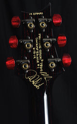 Paul Reed Smith Private Stock Custom 24 Swamp Eagle #1-Brian's Guitars