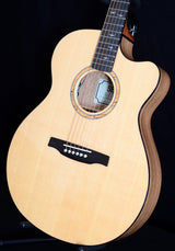 PRS SE Alex Lifeson Thinline Acoustic-Brian's Guitars