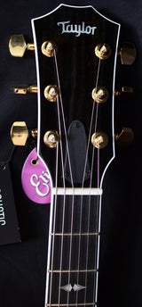 Taylor T5z Custom Koa-Brian's Guitars