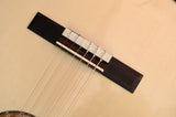 Paul Reed Smith 2014 Collection Nylon Brazilian Rosewood-Brian's Guitars