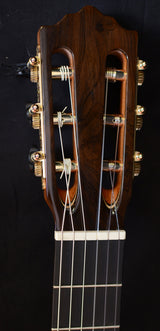 Paul Reed Smith 2014 Collection Nylon Brazilian Rosewood-Brian's Guitars