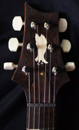 Paul Reed Smith Private Stock Custom 22 Semi Hollow Brazilian Rosewood Top-Brian's Guitars