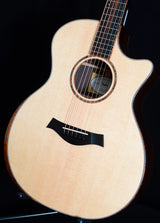 Taylor Custom GA Indian Rosewood-Brian's Guitars