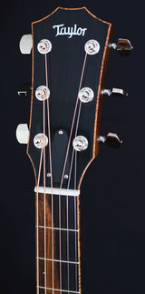 Taylor Custom GA Indian Rosewood-Brian's Guitars