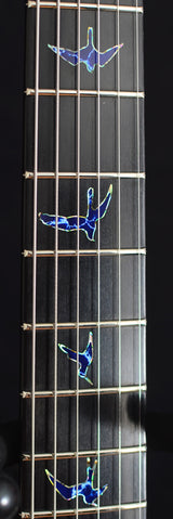 Paul Reed Smith Private Stock Custom 24 Aqua Violet-Brian's Guitars