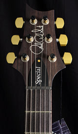 Paul Reed Smith Special Semi-Hollow Limited Violet Blue Burst-Brian's Guitars