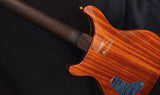 Paul Reed Smith Private Stock Paul's Guitar Northern Lights Brazilian-Brian's Guitars