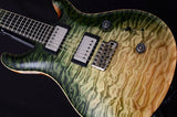 Paul Reed Smith Private Stock Custom 24 Walking Zombie #6-Brian's Guitars