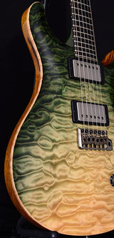 Paul Reed Smith Private Stock Custom 24 Walking Zombie #6-Brian's Guitars