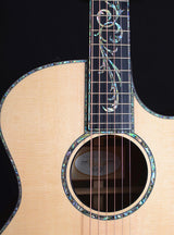 Taylor Presentation PS14ce Cocobolo-Brian's Guitars