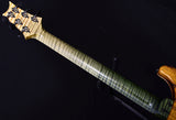 Paul Reed Smith Private Stock Custom 24 Walking Zombie #6-Brian's Guitars
