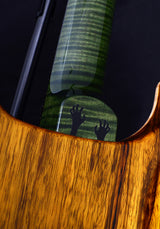 Paul Reed Smith Private Stock Custom 24 Walking Zombie #6-Brian's Guitars