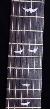 Paul Reed Smith 30th Anniversary SE Floyd Custom 24 Limited-Brian's Guitars