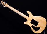 Paul Reed Smith 30th Anniversary SE Floyd Custom 24 Limited-Brian's Guitars