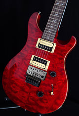 Paul Reed Smith 30th Anniversary SE Floyd Custom 24 Limited-Brian's Guitars