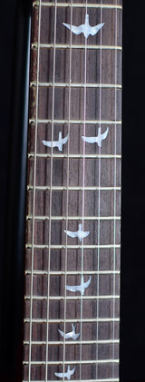 Paul Reed Smith 30th Anniversary SE Floyd Custom 24 Limited-Brian's Guitars