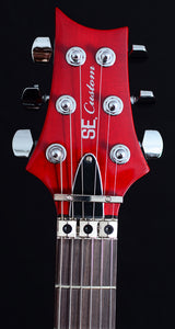 Paul Reed Smith 30th Anniversary SE Floyd Custom 24 Limited-Brian's Guitars