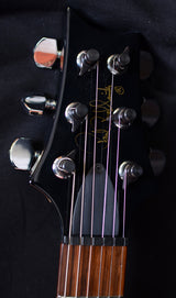 1991 Paul Reed Smith Signature #915-Brian's Guitars