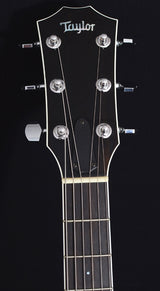 Used Taylor T5 Standard Black-Brian's Guitars