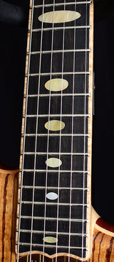 Alembic Darling Zebrawood-Brian's Guitars