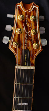 Used Peavey HP Signature USA Custom-Brian's Guitars