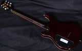 Used Peavey HP Signature USA Custom-Brian's Guitars