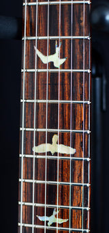 Paul Reed Smith Private Stock Custom 24 Zombie Eye-Brian's Guitars